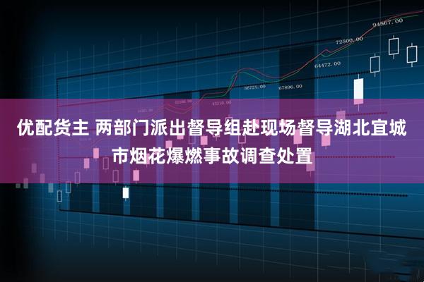 优配货主 两部门派出督导组赴现场督导湖北宜城市烟花爆燃事故调查处置